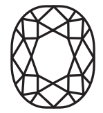 Cushion-1